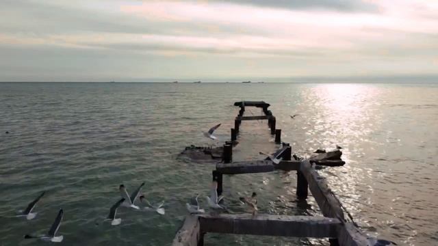 Казахстан Мангистау Актау море чайки красиво