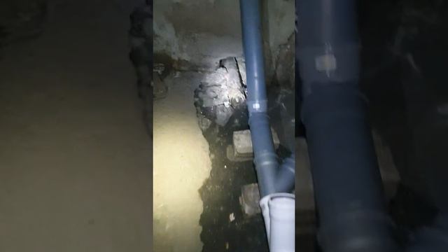 мира 2 3 подъезд после замены труб, прошло 4 дня