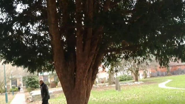 Искусство жизни