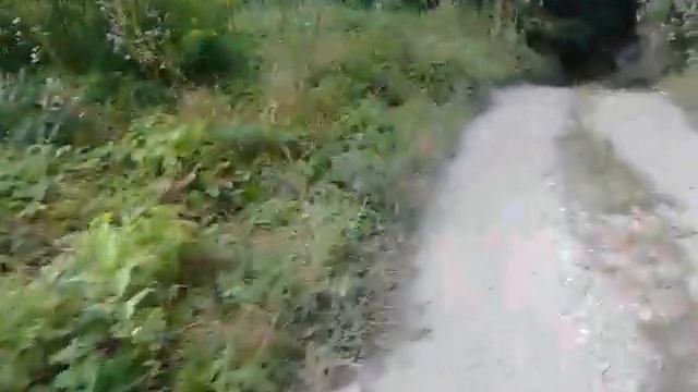 Майкоп,2014(2)