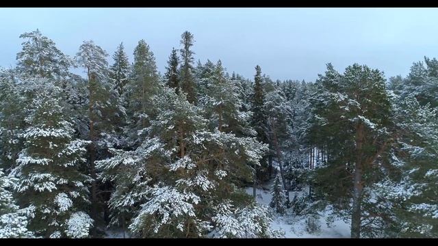 404868d44b298ca729e337dd2668e3e3