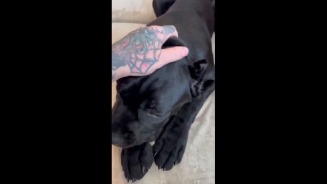 ТОЛСТЫЙ УЖЕ БОЛЬШЕ 25 КИЛОГРАММ | КТО ПО ЖИЗНИ | ВИТАЛИЙ РЕУТОВ (КПЖ)