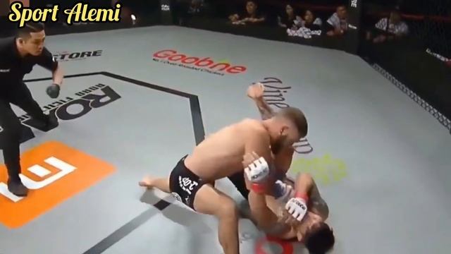 7202cff7fff98226569285c378814381