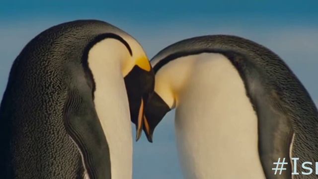 275e040a1e0e587dba73a0cac1c9849e