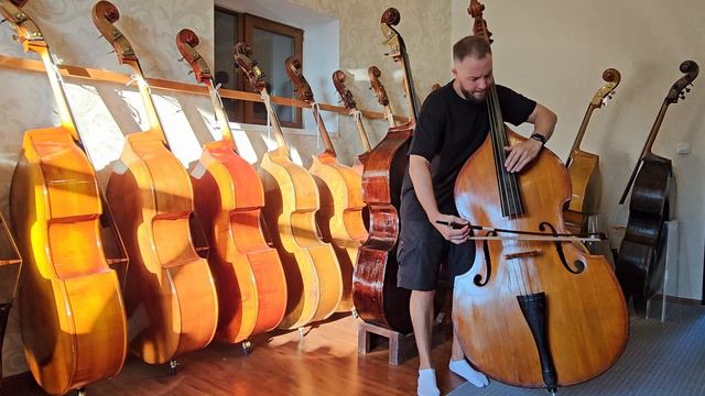 Контрабас №125