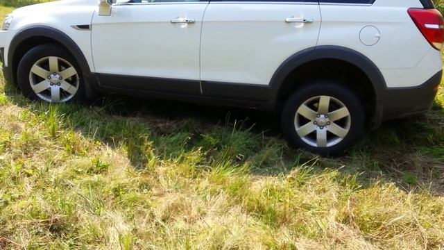 Бюджетные автомобили: надежность и доступность