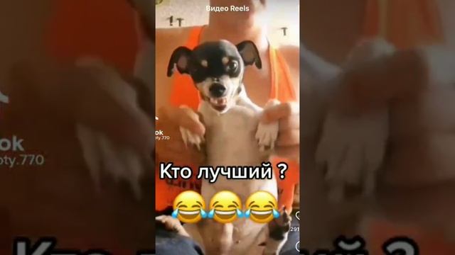 КТО ЛУЧШИЙ?