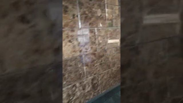 Киев достопримечательность города