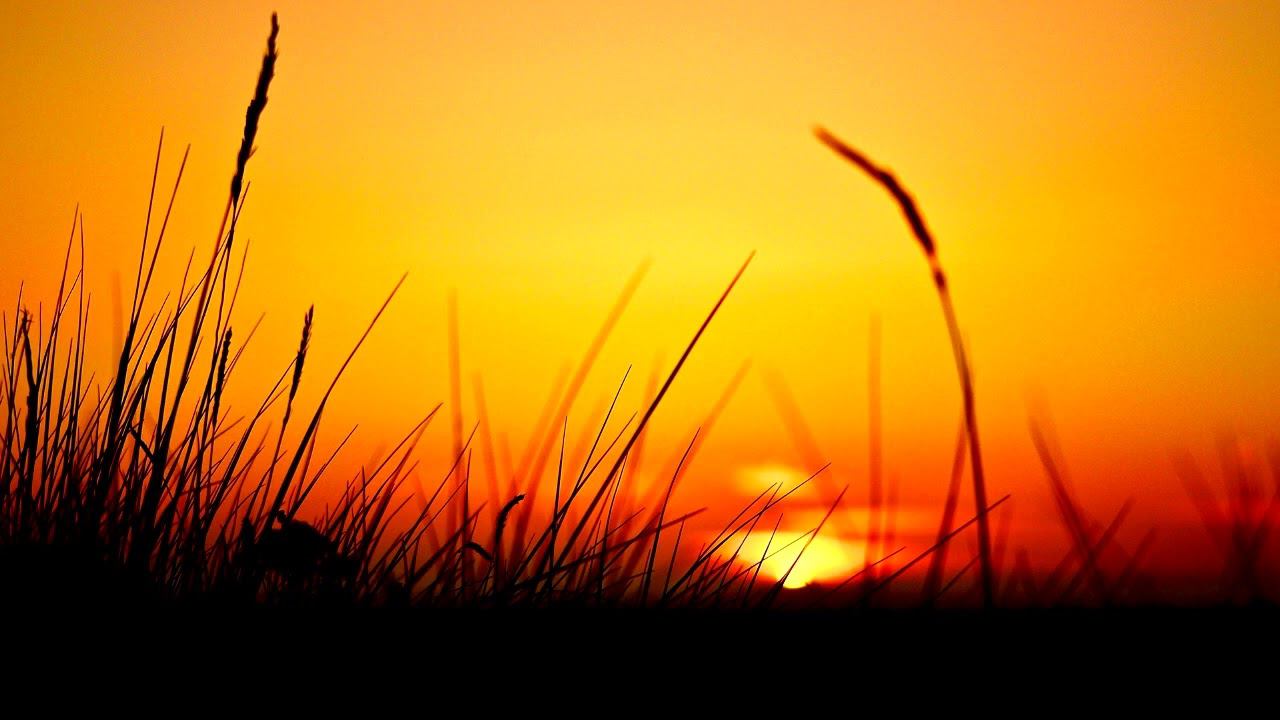 Metal - Summer Nights