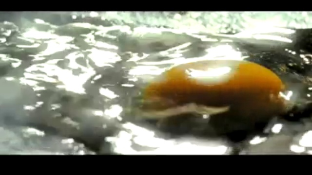 Mana - Angel De Amor (Video)