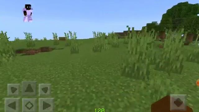 The Hunt For Ohei | Cursed Minecraft Skin       (1/5)