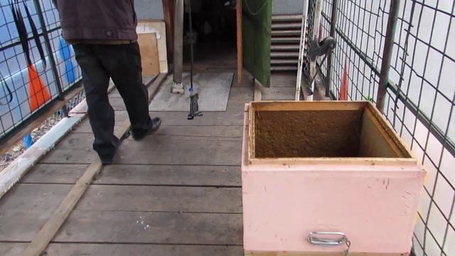 По просьбам трудящихся. Пчелопавильон. 2ч. Хакасия.