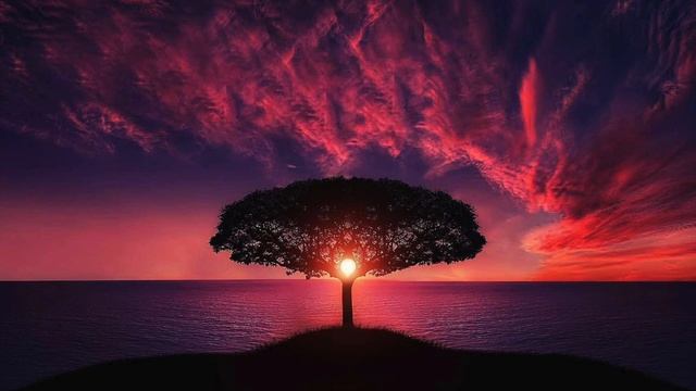 MUSIC FOR MEDITATION, SLEEP, RELAXATION,YOGA  МУЗЫКА ДЛЯ МЕДИТАЦИИ, СНА, РЕЛАКСАЦИИ, ЙОГИ