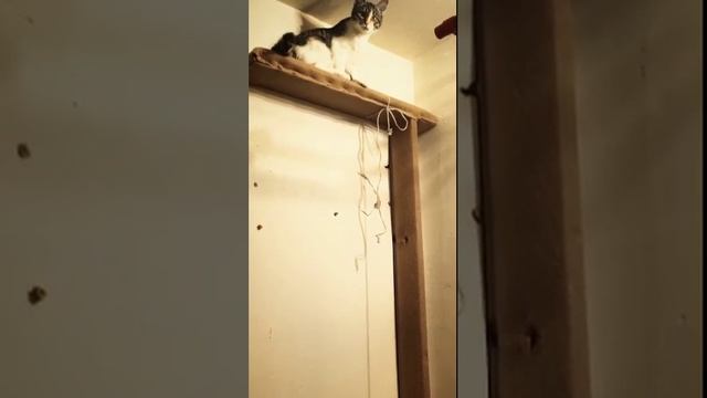 A2b70241b44142ef42d14e99a980c68a