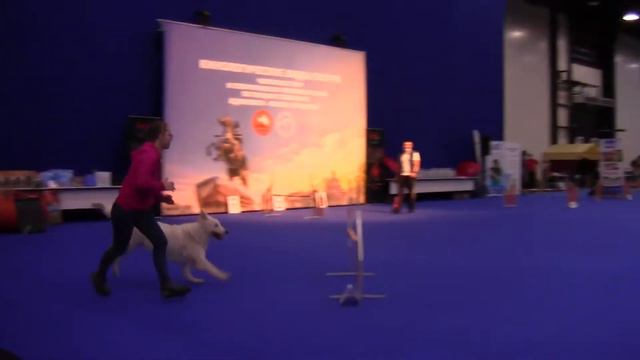 Дети - Кулиничева Дарья и Белая швейцарская овчарка АКНУР ГУЛЬ ДОБРОДЕЯ СВЕТ КНЯЖНА