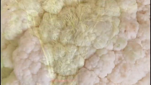 Сказочные цены на овощи и фрукты.