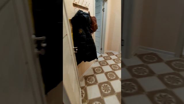 5 просека,133 аренда