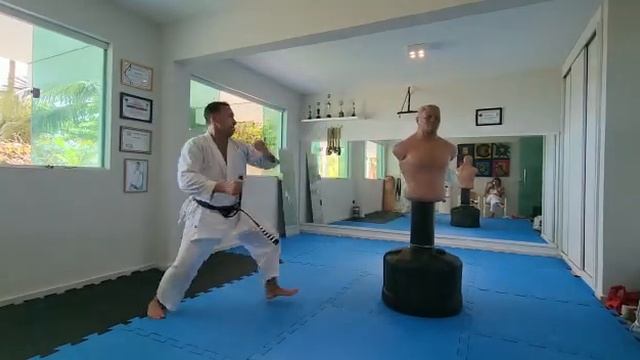 Os Chutes Mais Impactantes Do Karate Shotokan - Mawashi Geri