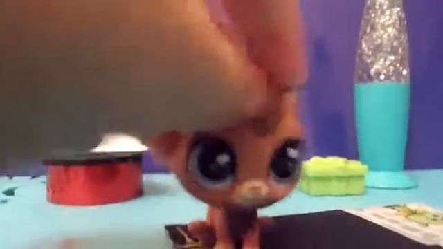 как нужно снимать видео с  LPS