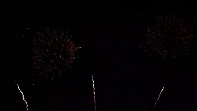 Дмитрий и Наталья