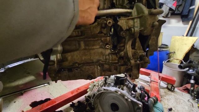 Домашний Кокон