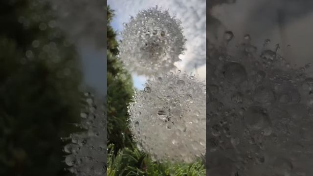 Зарабатывaй на скачивании приложений. Лёгкий и простой способ подработки. Вывод денег на карту ? ?