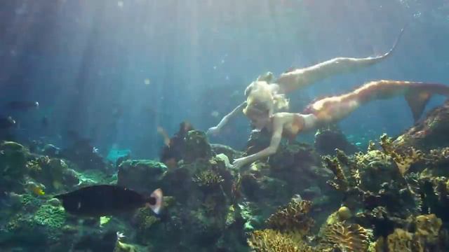 Water Love Best underwater scenes Mako Mermaids 720p