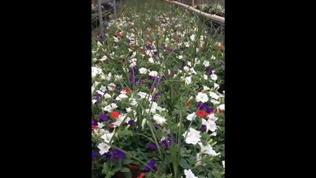 Fa526ae8c4253d054b3217ac955a30b5