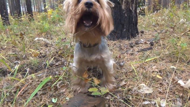 E5bd67a66c630a680c99e74f3493f85b