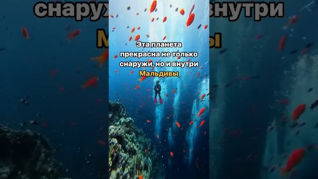 8242495267007391844