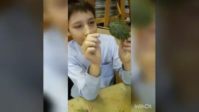 Уроки дпи, лепки, изо Макаровой М.А.