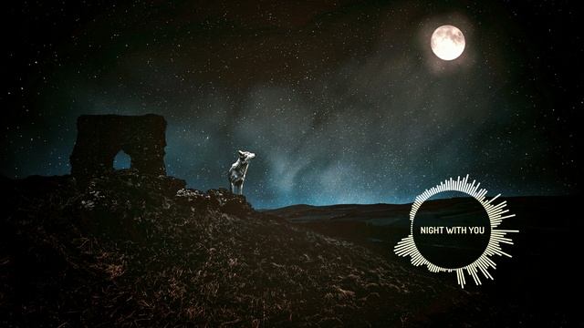 Vigilant PLAY - Night With You