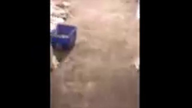 Property Reno Video Updates(16)