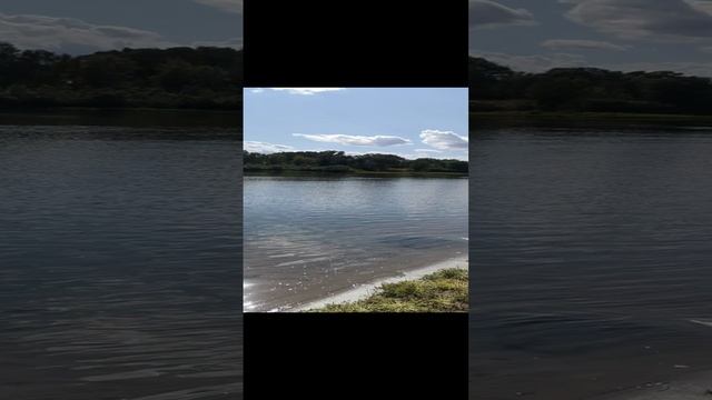 Станислав Морозов/красный сын