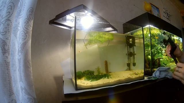 Чистка Креветочника / Cleaning Shrimp Tank