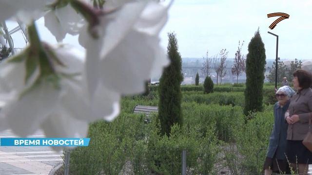 В Волгограде в ЦПКиО впервые распустились белоснежные цветы сакуры
