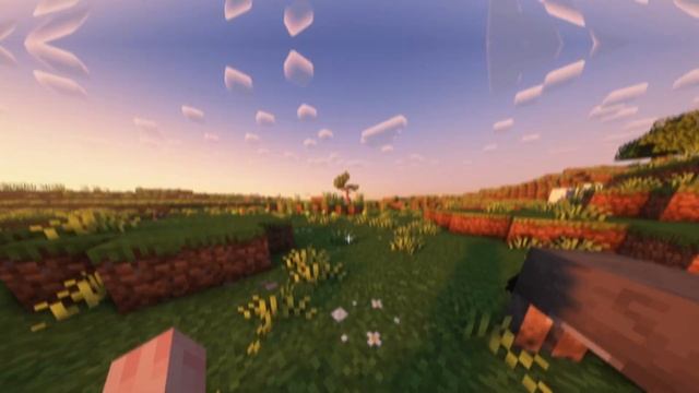 2acd7f96c2dcf4a35dac56e1fcd862a9