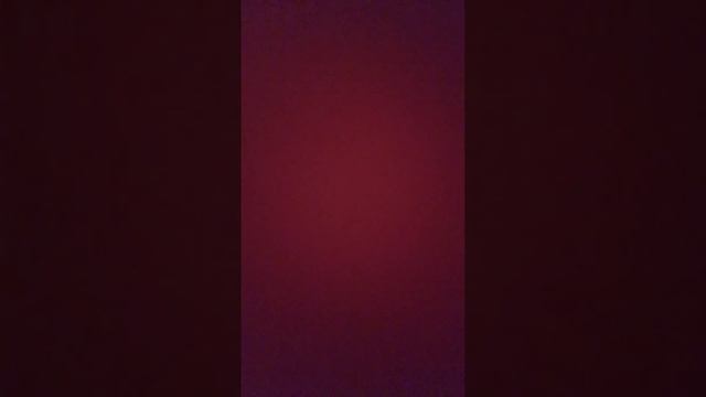 Шампунь «Шаурма»