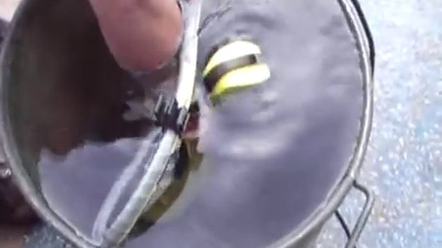 KARCHER WATER BOWSER PUMP.wmv