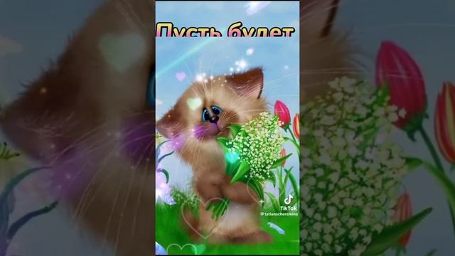 9673e6afbd95bcce47537d937fef4dba