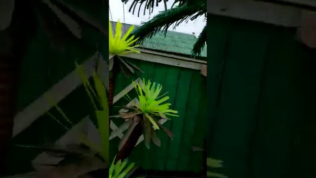 Оформление участка