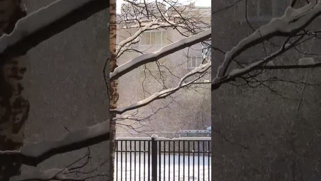 Зимний, солнечный день – прекрасен! #ленобласть #загород #зима2023 #маркетингнедвижимость