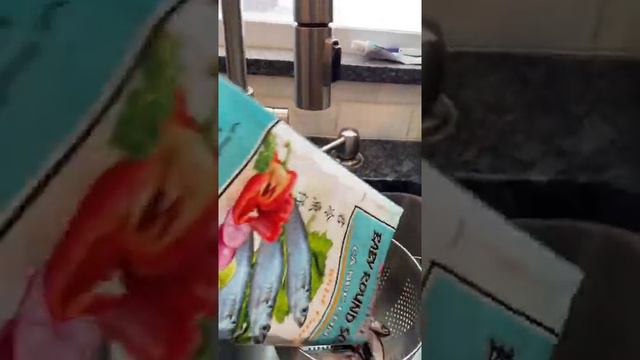 Crispy Dehydrated Mussels Dog Treats
