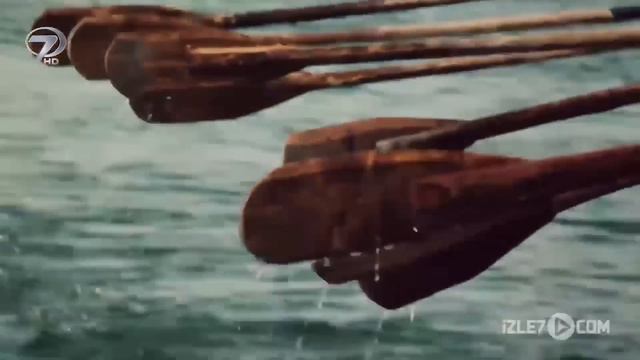 Элитное общество