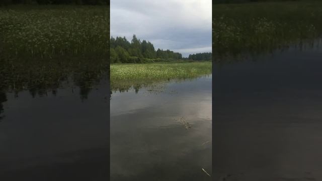 Рыбалка в Смоленской области.