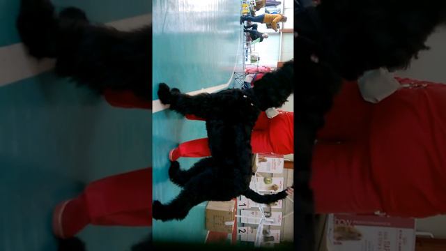 WP 20170423 10 43 17 Pro