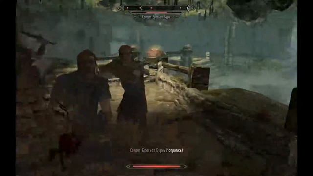 Хроники имперца №1: Начало долгого путешествия (TES V: Skyrim SE)