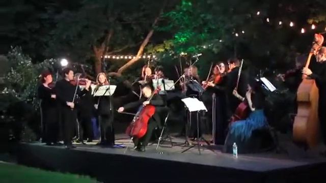 Класика в саду/Виртуозы Киева - 5