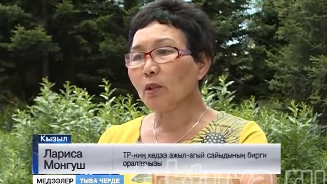 Шолбан сылдыс хөрээн каастаан