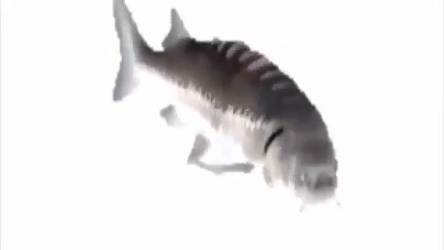 Музыка для каждого часа